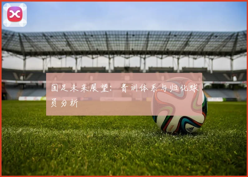 国足未来展望：青训体系与归化球员分析