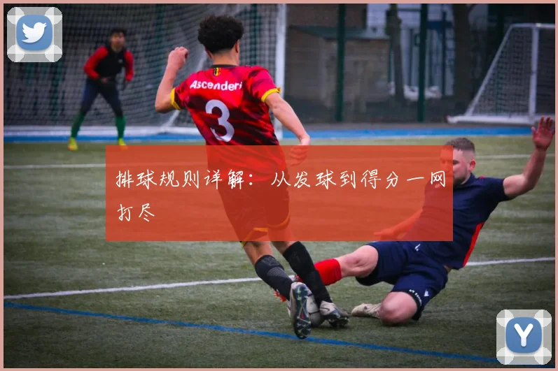 排球规则详解:从发球到得分一网打尽