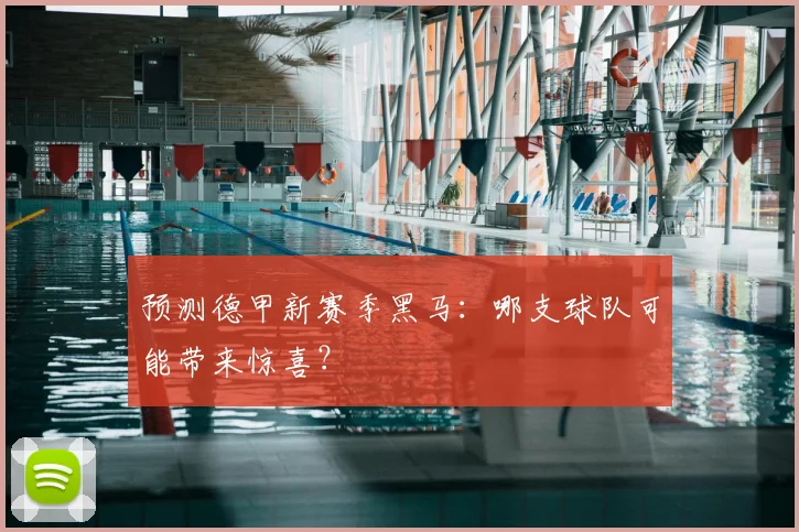 预测德甲新赛季黑马:哪支球队可能带来惊喜?